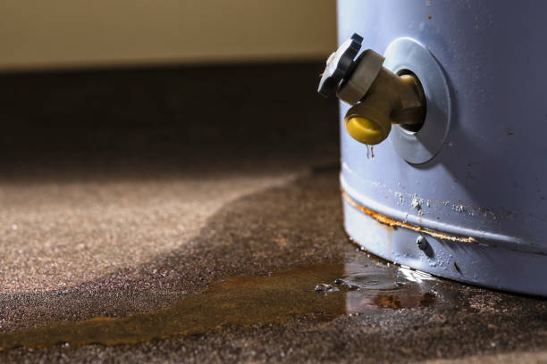 Best Ceiling water damage repair  in Schenectady, NY