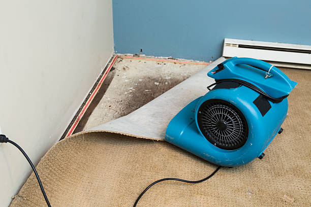 Best Water damage cleanup near me  in Schenectady, NY